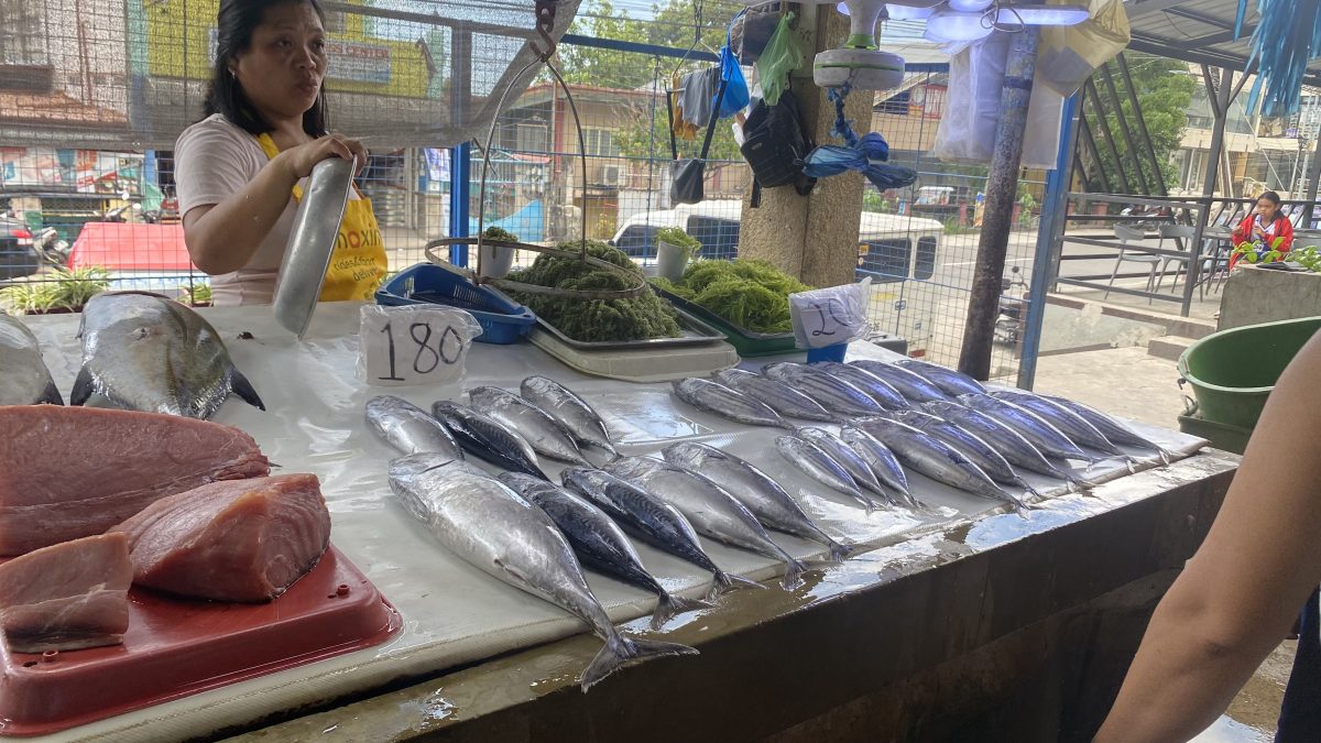 Pescado kosher: aletas y escamas, las reglas básicas